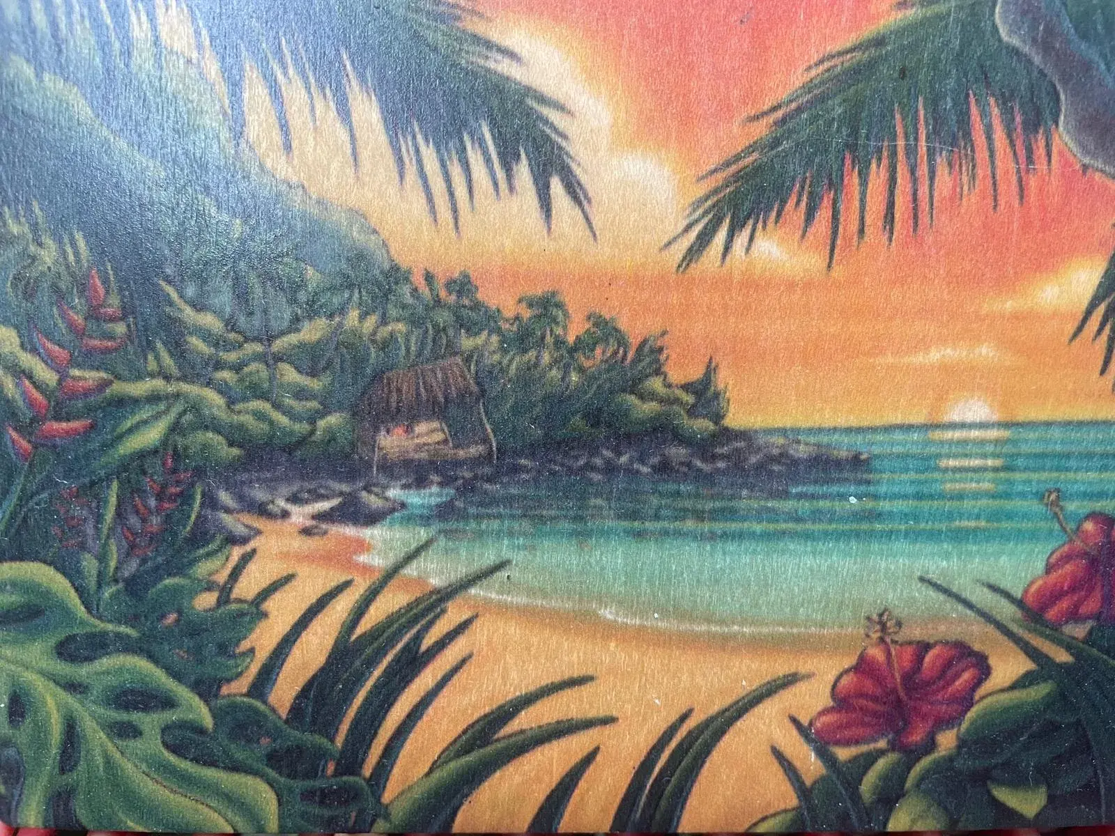 Farbenfrohe Illustration einer hawaiianischen Bucht